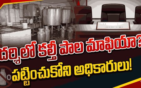 ప్రకాశం జిల్లా: దర్శిలో కల్తీ పాల మాఫియా? పట్టించుకోని అధికారులు!
