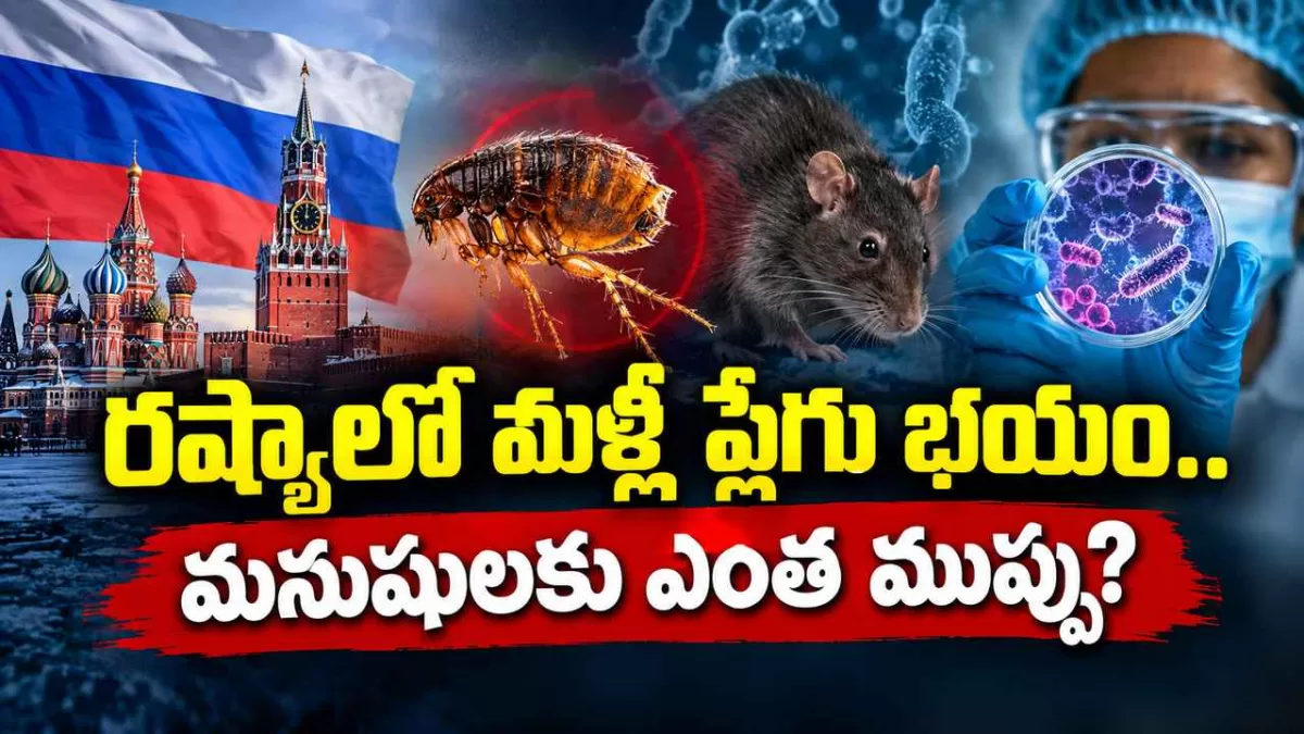 రష్యాలో ప్లేగు కలకలం.. మనుషులకు ఎంత ప్రమాదం?